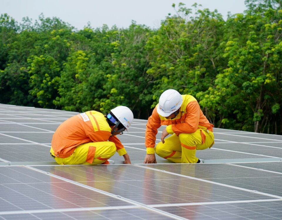 energie regenerabilă pentru o casă din Bărăgan